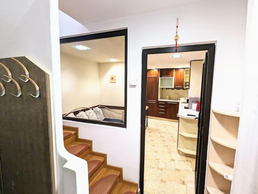 Maisonette Balcesco Brasov Bagian luar foto