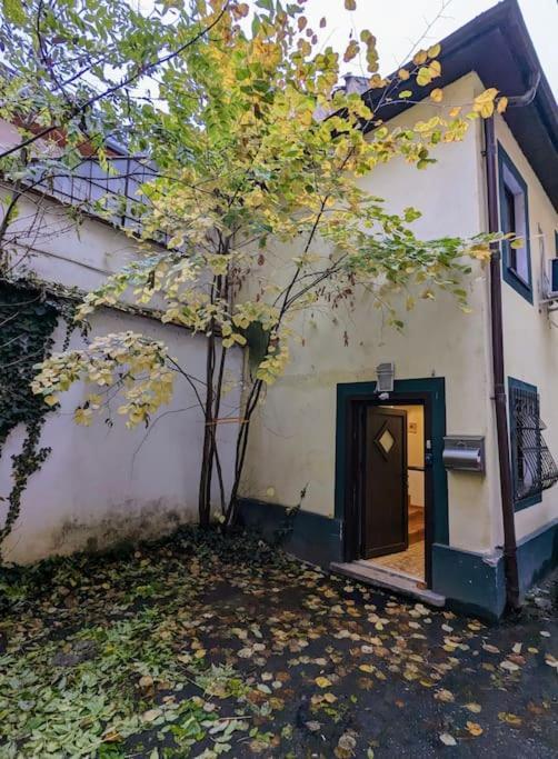 Maisonette Balcesco Brasov Bagian luar foto